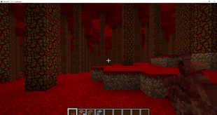 Minecraft_ 1.15.2 - Singleplayer 19.03.2026 13_06_19.png