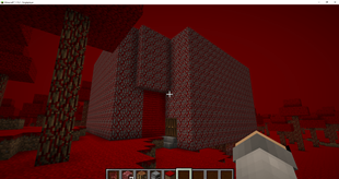 Minecraft_ 1.15.2 - Singleplayer 19.03.2026 13_11_16.png