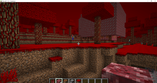 Minecraft_ 1.15.2 - Singleplayer 19.03.2026 13_13_44.png