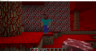 Minecraft_ 1.15.2 - Singleplayer 19.03.2026 13_14_33.png