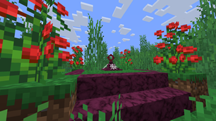 image2.png