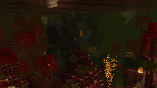image3.png