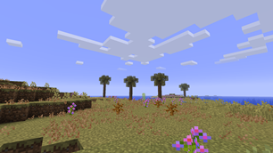 Palm trees on a shore