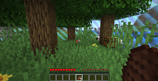 onechunk2.png