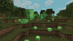slimes and slime blocks