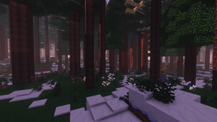 Snowy taiga