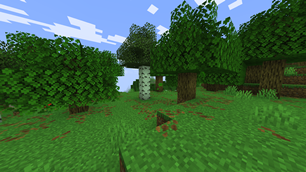 v2 showcase