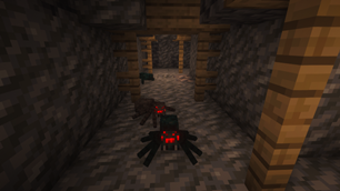 Cute Little Spiders!