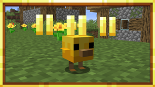 Baby Chicken when aging is halted