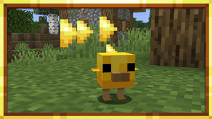 Baby Chicken when aging is restarted