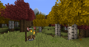 Just nice screenshot