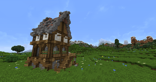 Lonely house