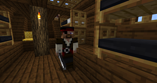 Pirate on pirate ship