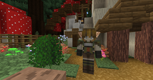Elven village