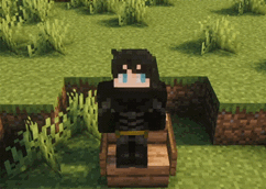 Preview Animated Image