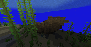 shipwreck