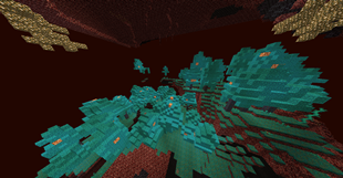 warped forest