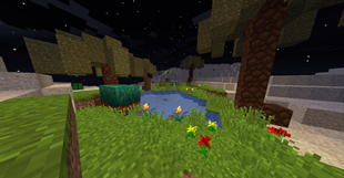 sniffer's oasis
