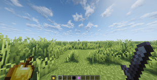 Small Sword