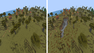 Environmental Impact