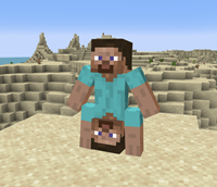 SteveTopNTop.png