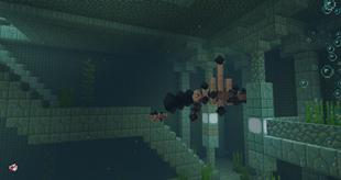 Risen Fossils