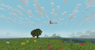 Vibrant Lands