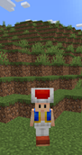 Toad.png
