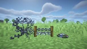 Trap Defenses
