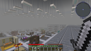 Pallets biome - above view