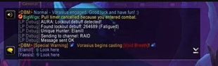 debug mode.jpg