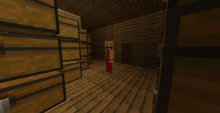 scaryroomer.png