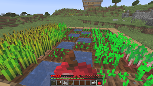 Farm