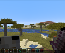 SWORDS AN SHIELDS ORE SHORTER!