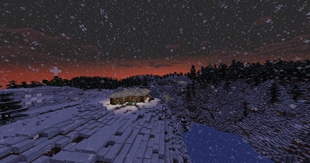 Heavy Snowy View