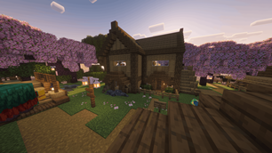 Seal Sanctuary 1