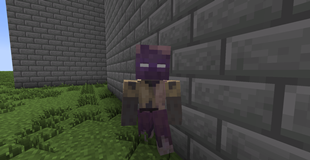 husk.png