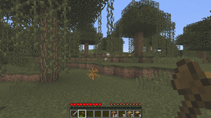 Swamp
