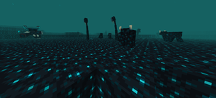 The Sculk dimension