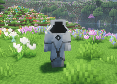 Precursor Armor + Shader