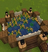 More Crops