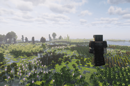 huge Amounts of Foliage