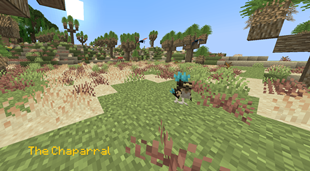 chaparral.png