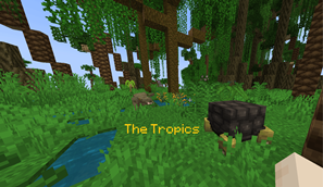 tropics.png