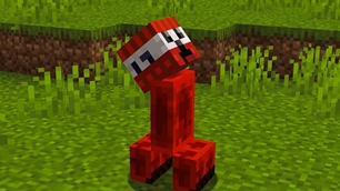 tnt.jpg