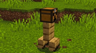 Chest.jpg