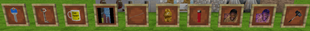 Items