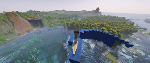 Super Surfer