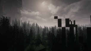 Tall shadowy plants fill the land as the gray sky glows softly through the mist.