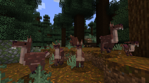 A herd of musk deer running away from a hungry bear